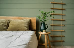 Scopri di più sull'articolo Piante in camera da letto