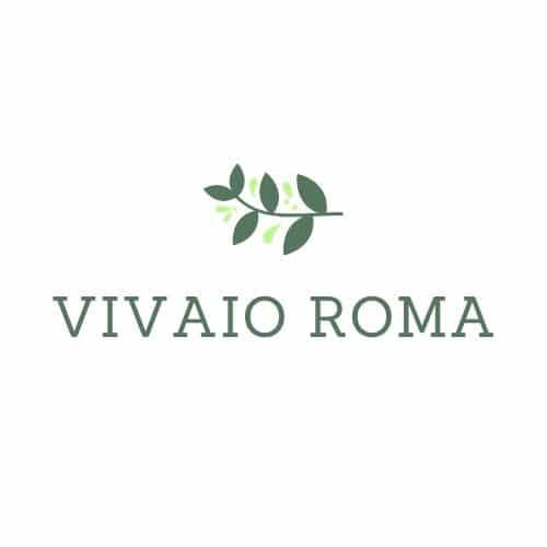 vivaio-roma-logo